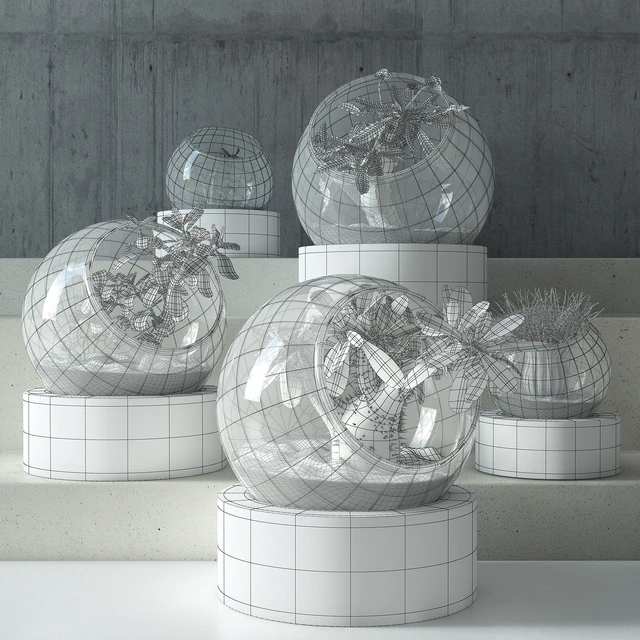 plant in glass — Descargar