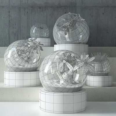 plant in glass — Ver 3