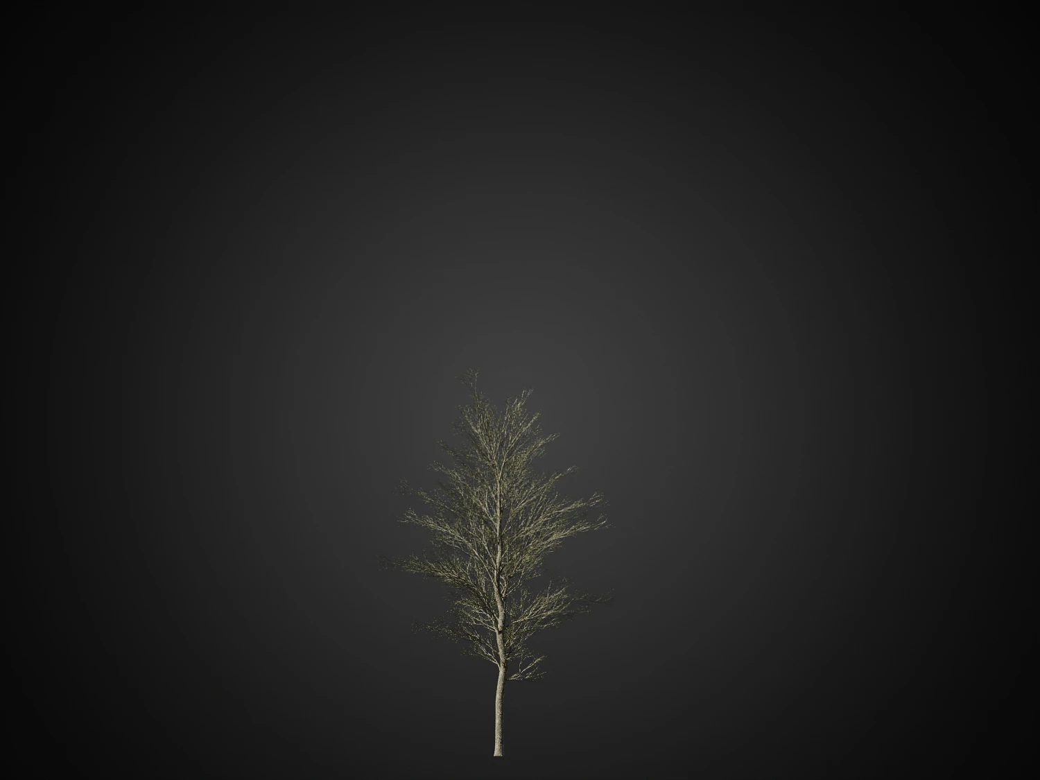 016 — Descargar