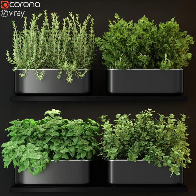 Plants collection 262 — Скачать