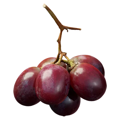 red grapes 001 — Descargar