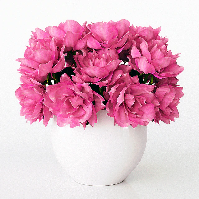 Bouquet of roses — Descargar