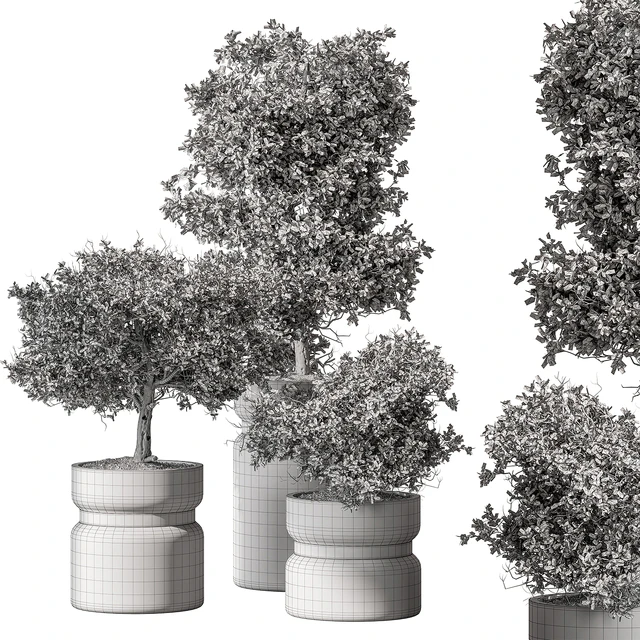Indoor Plant 566 -Tree in Pot — Descargar