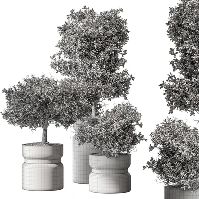 Indoor Plant 566 -Tree in Pot — Ver 6