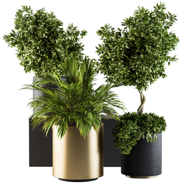 indoor Plant Set 90 - Black and Gold — Descargar