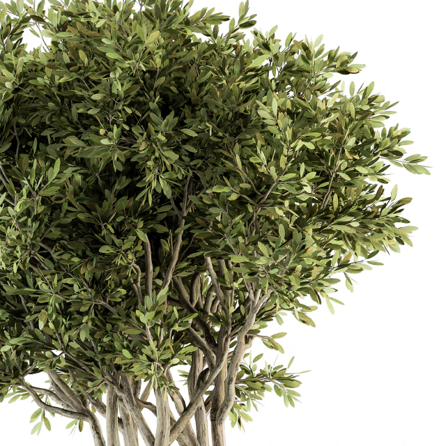 Outdoor Plants tree in Concrete Pot - Set 135 — Descargar