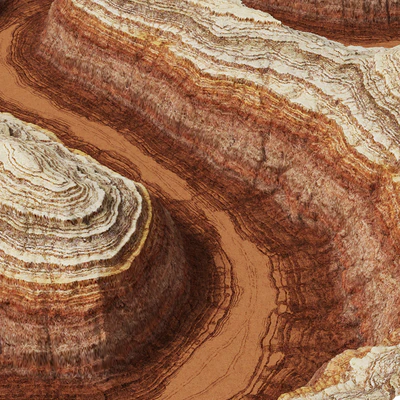 Canyon / Canyon — Ver 2