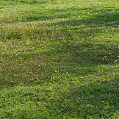 Realistic meadow grass — Ver 1