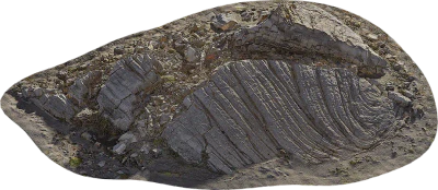 icelandic rock formation 010 — Descargar