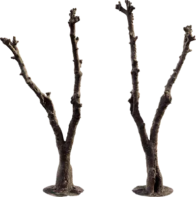 pruned tree 004 — Descargar