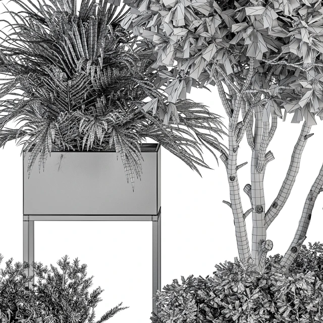 indoor Plant Set 327 - Plant Set in Black Box — Descargar
