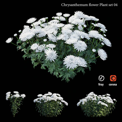 Chrysanthemum flower plant set 04 — Ver 5