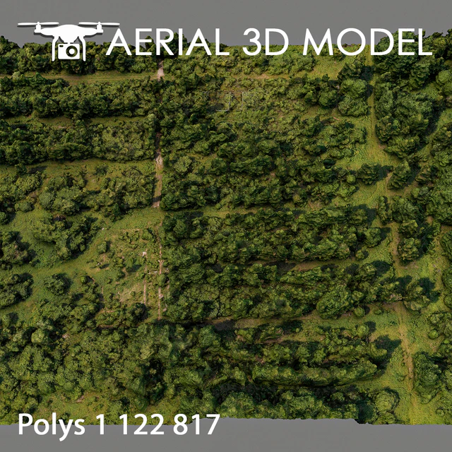 Forest 81 — Descargar