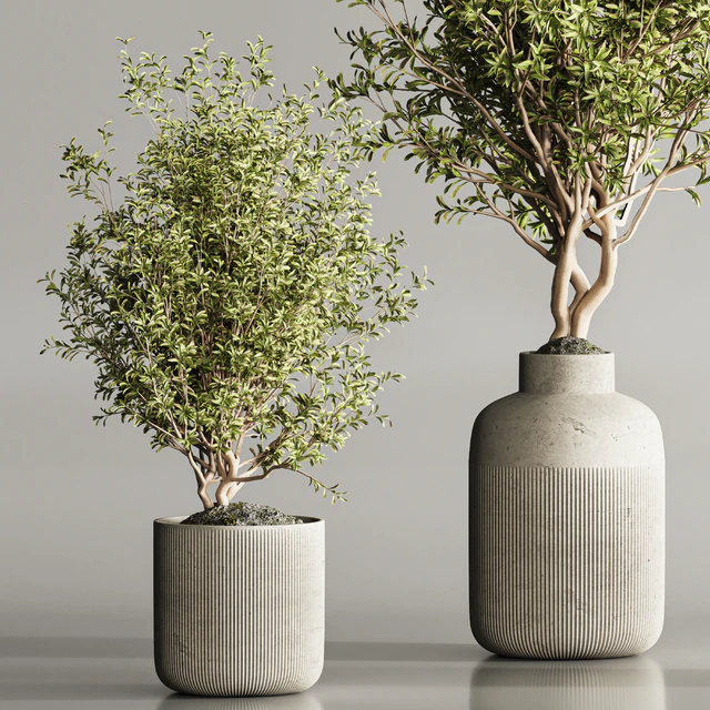 Indoor Plant Set 107 — Descargar