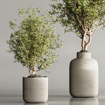 Indoor Plant Set 107 — Ver 7