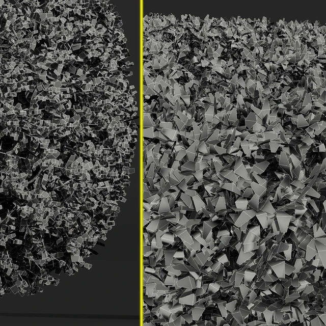 Ligustrum Quihoui Privet and Ficus Concinna Bonsai Pruned — Скачать