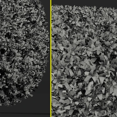 Ligustrum Quihoui Privet and Ficus Concinna Bonsai Pruned — Вид 6