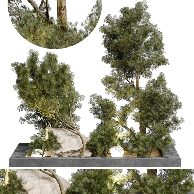 Outdoor Plant 65 — Descargar