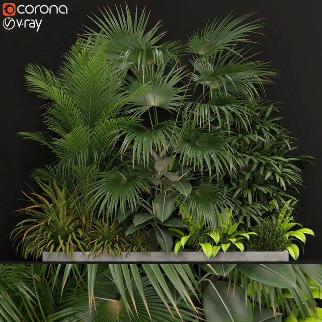 Plants collection 197 — Descargar