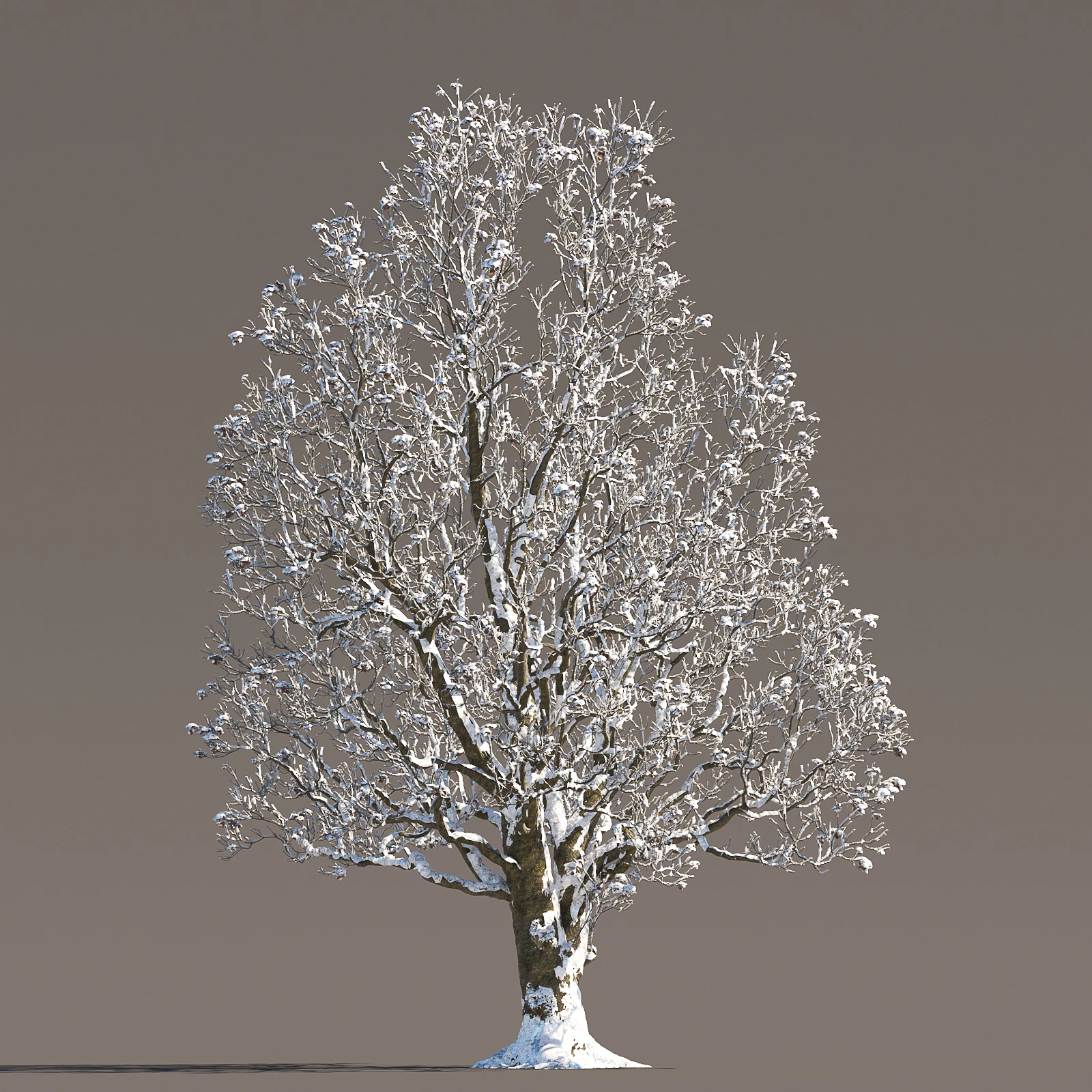 059 winter — Descargar
