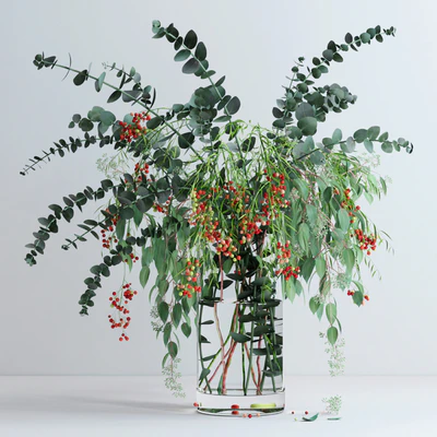 Pepperberries and Eucalyptuses — Вид 1
