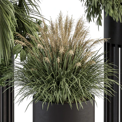 indoor Plant Set 301 - Plant Set in Round Stand Black pot — Вид 5