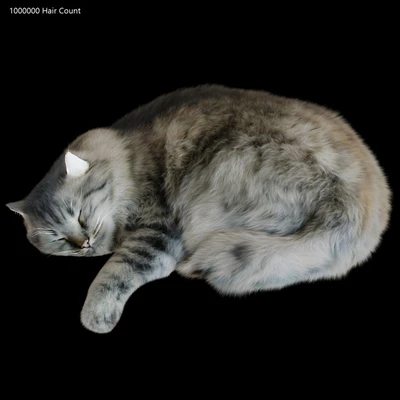 Cat Corona — Ver 7