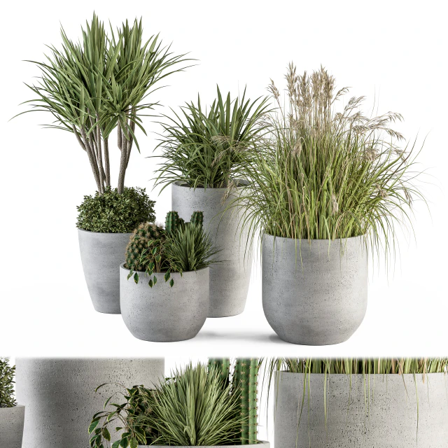 Outdoor Plant Set 233 - Plant in Pot Set — Descargar