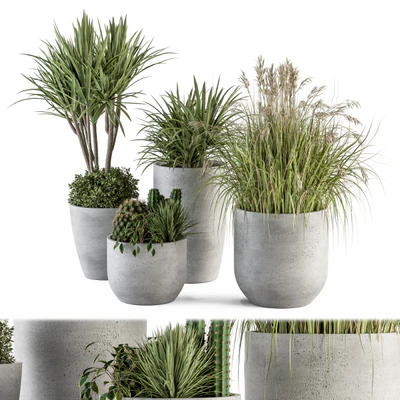 Outdoor Plant Set 233 - Plant in Pot Set — Ver 5