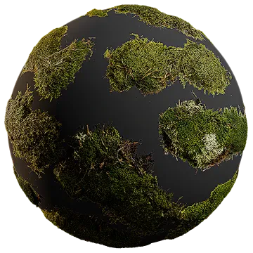 tileable moss patches 001 — Скачать