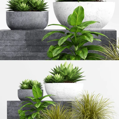 Plants and Planters  1 — Ver 2