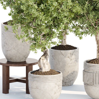 Indoor Plants collection vol 103 — Ver 4