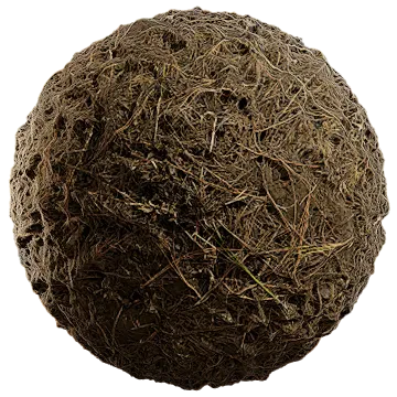 grass dried 030 — Descargar