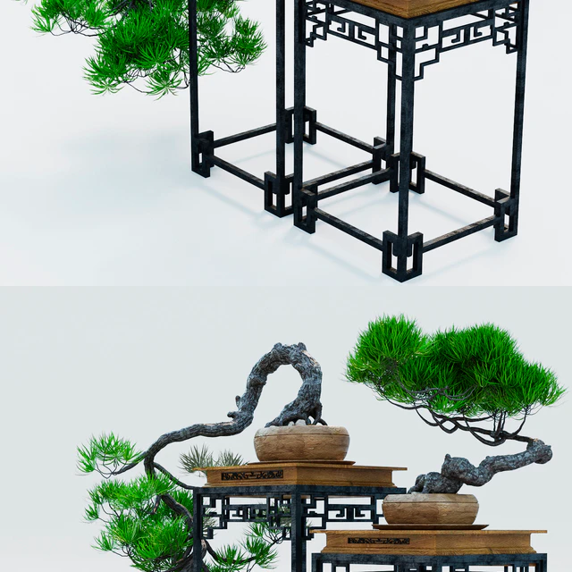 Semi bonsai — Скачать