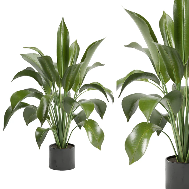 Indoor Plants in Ferm Living Bau Pot Large - Set 136 — Скачать