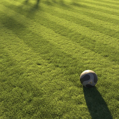 Football pitch lawn — Вид 5
