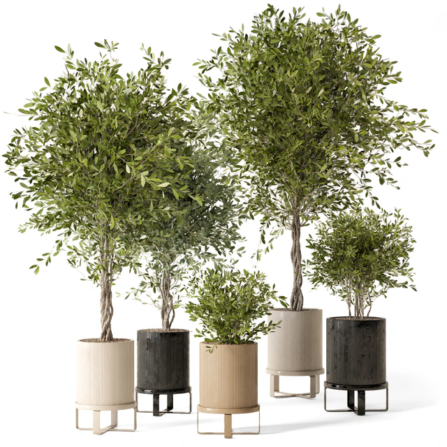 Indoor Plants in Ferm Living Bau Pot Large - Set 354 — Скачать