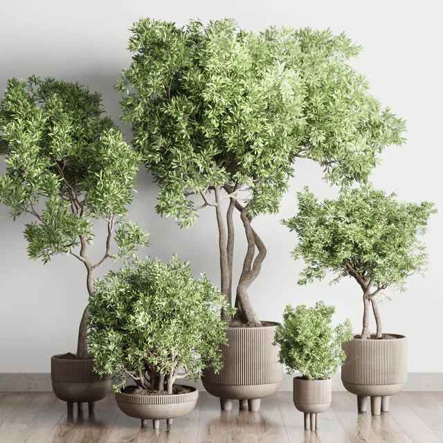 Collection Indoor Outdoor plant 118 vase concrete pot tree corona — Скачать