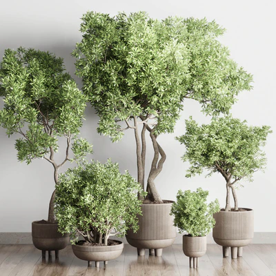 Collection Indoor Outdoor plant 118 vase concrete pot tree corona — Вид 7