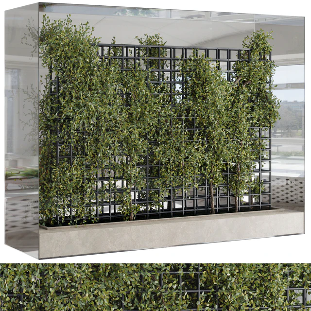 Plants Set Partition In Behind Glass - Ivy Garden Wall Decor Set 116 — Download