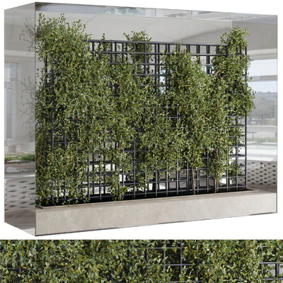 Plants Set Partition In Behind Glass - Ivy Garden Wall Decor Set 116 — View 1