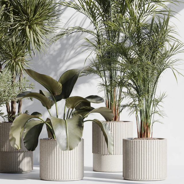 indoor plant set 72 — Descargar