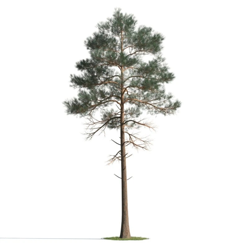 075 — Скачать