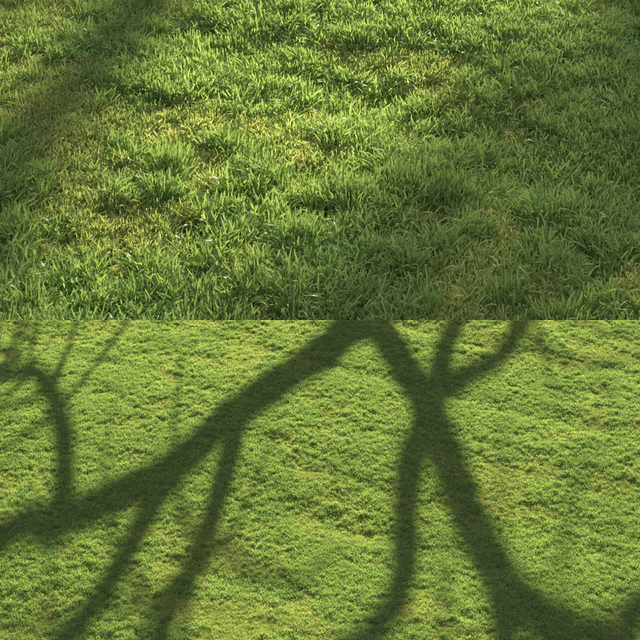 Flat grass — Скачать