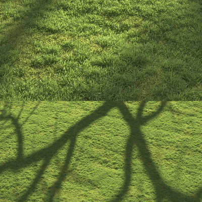 Flat grass — Вид 5