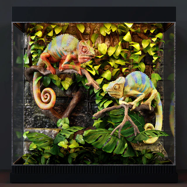 Terrarium — Descargar