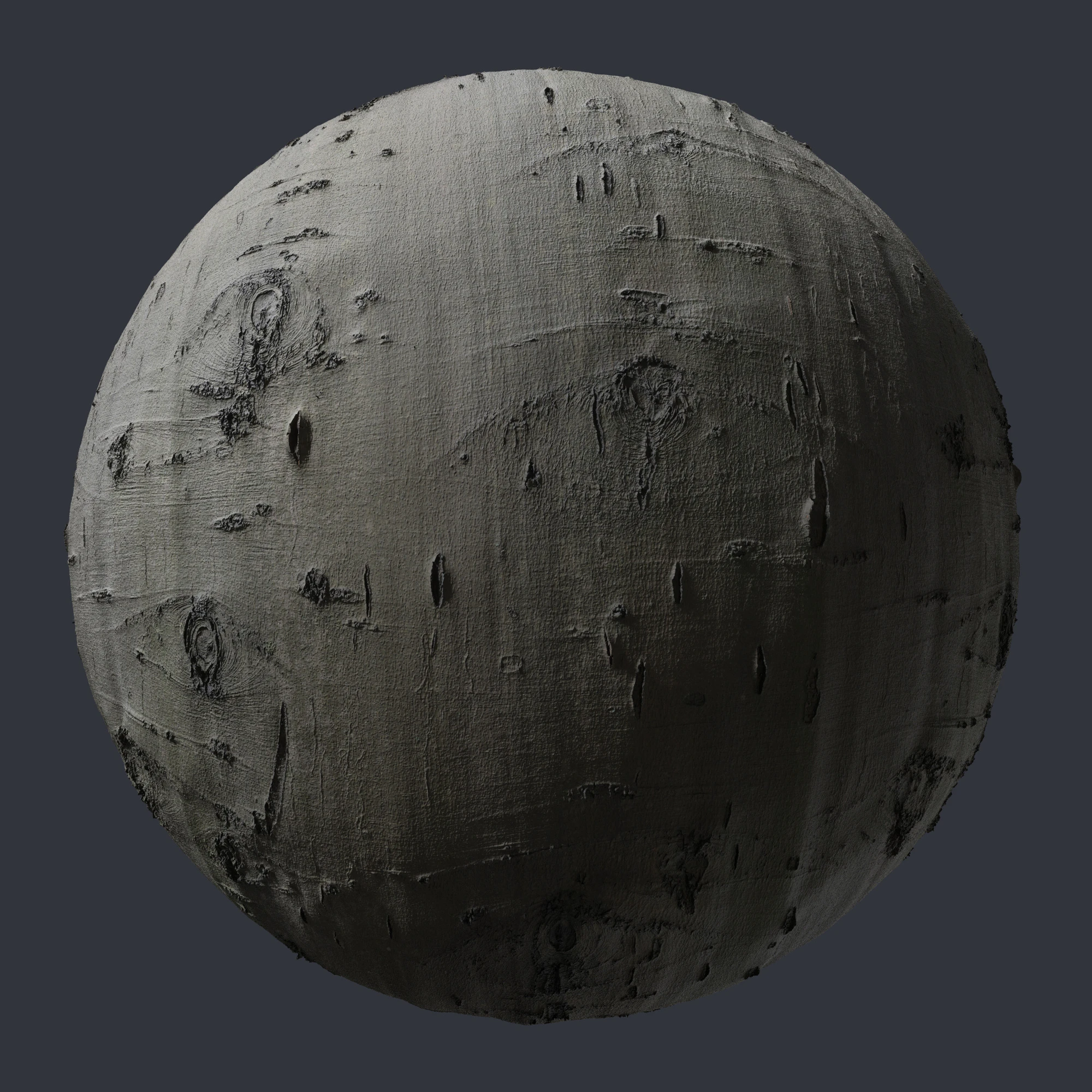 beech bark 007 — Скачать