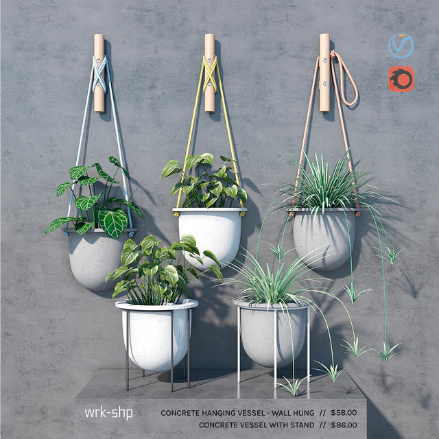 plant set — Descargar
