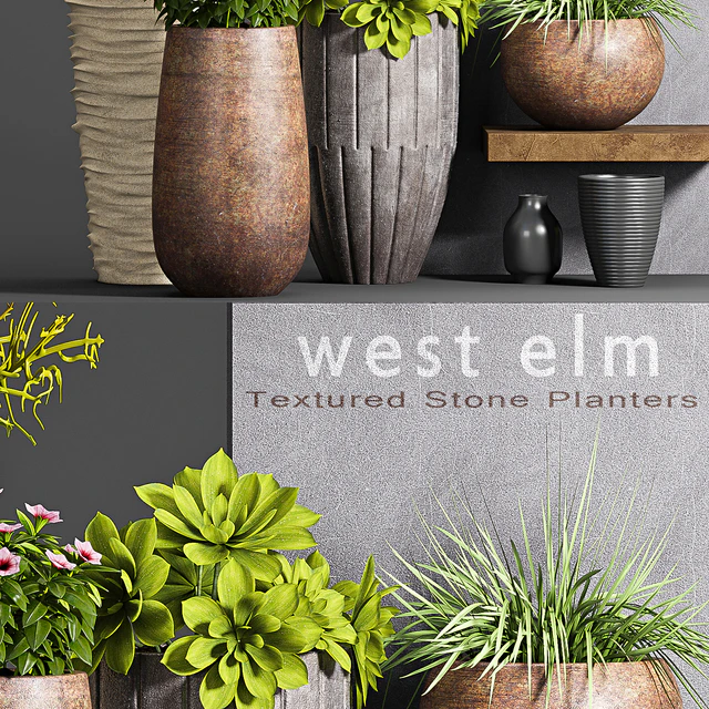 PLANT SET -63 — Descargar