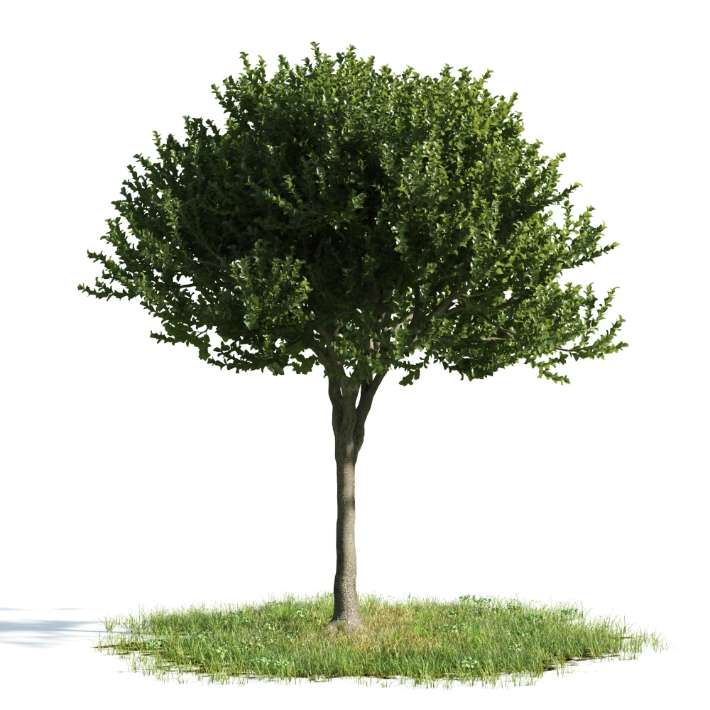 trees 044 — Descargar